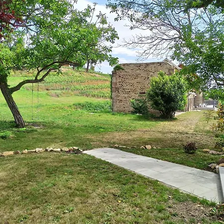 Appartement Joli F2 Indépendant Avec Jardin Privé Rouffach