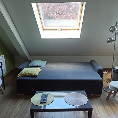 Apartamento Joli F2 Indépendant Avec Jardin Privé Rouffach