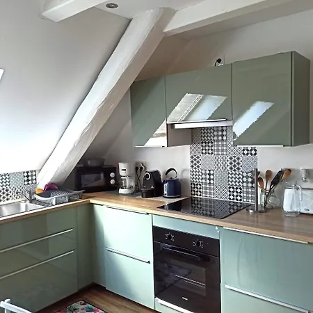 Joli F2 Indépendant Avec Jardin Privé Appartement Rouffach
