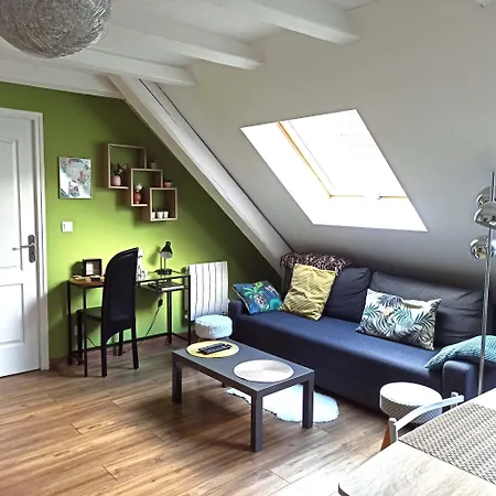 Joli F2 Indépendant Avec Jardin Privé Apartamento Rouffach