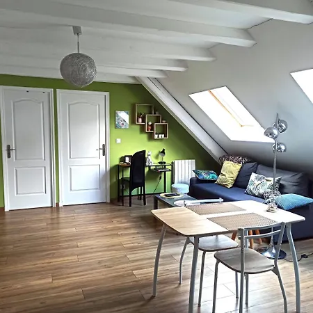 Joli F2 Independant Avec Jardin Prive Rouffach